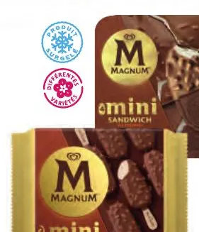 6 bâtonnets Magnum
