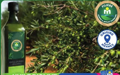 HUILE D’OLIVE EXTRA VIERGE 500ml