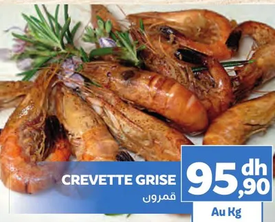 CREVETTE GRISE