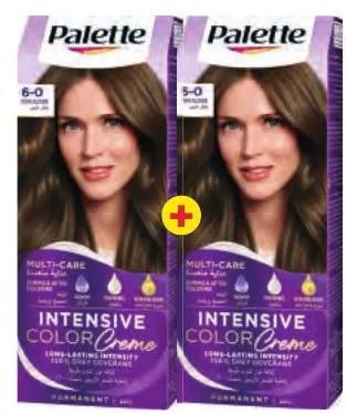 2 colorations Palette
