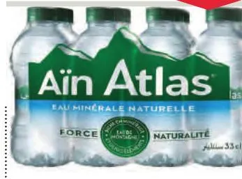 12 bouteilles d'eau minérale Aïn Atlas 33cl