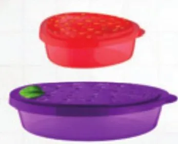 Boite de conservation fruits