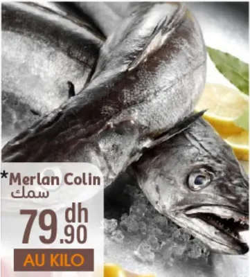 MERLAN COLIN