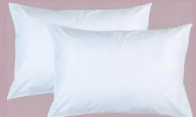 PACK DE 2 OREILLERS BLANC
