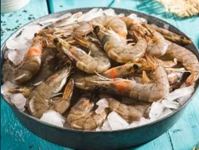 Crevettes grises