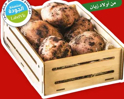 Pomme de terre rouge/blanche non lavée / بطاطس حمراء / بيضاء غير مغسولة