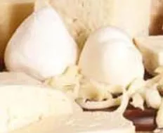 Mozzarella bloc Le Berger au kg
