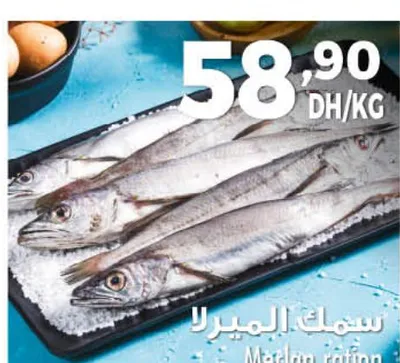 Merlan ration / سمك الميرلا