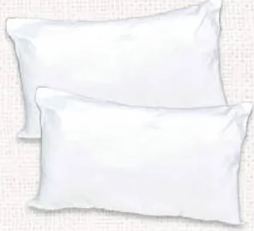 Pack de 2 oreillers Blancs 45x70cm