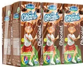 Pack de 6 lait aromatisé chocolat / fraise