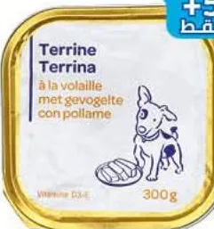 Terrine à la volaille pour chien adulte Carrefour 300g