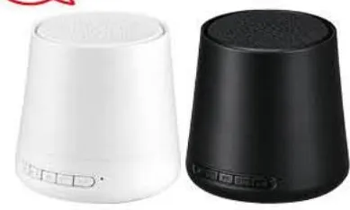 Enceinte bluetooth S20 Noir - white