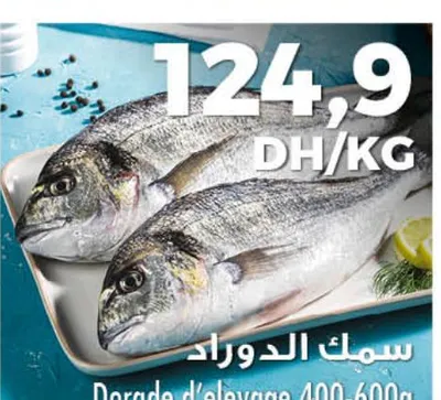 Dorade d'élevage 400-600g / سمك الدوراد