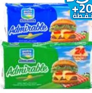 Fromage fondu en tranches classic / cheddar Gastro Mixte Admirable burger 24 tranches