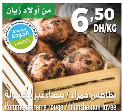 بطاطس حمراء / بيضاء غير مغسولة / Pomme de terre rouge / blanche non lavée
