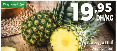 أناناس مستورد / Ananas import